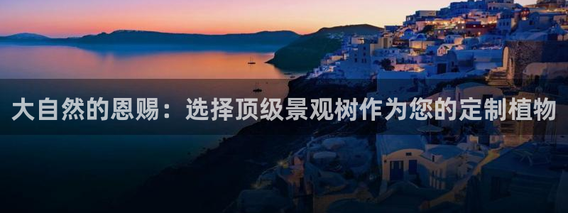 卧龙娱乐在线下载