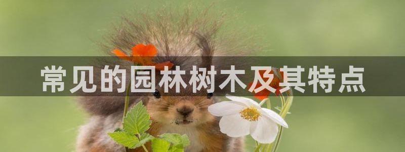 卧龙娱乐左：常见的园林树木及其特点