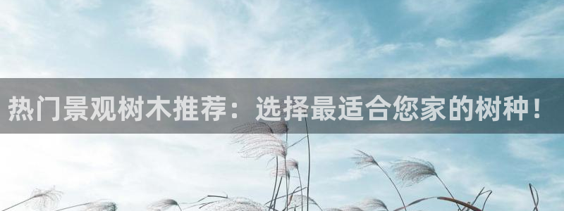 卧龙区娱乐会所：热门景观树木推荐：选择最适合您家的树种！