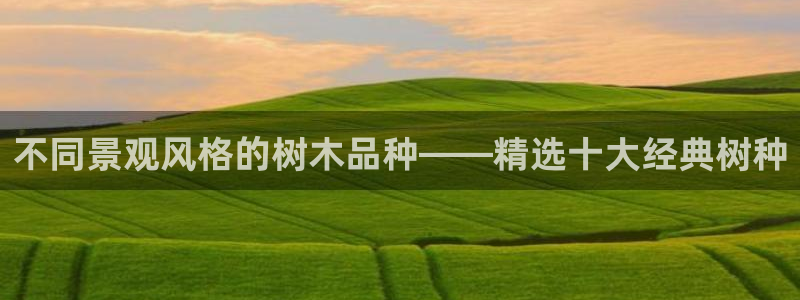 泰安卧龙大观娱乐中心