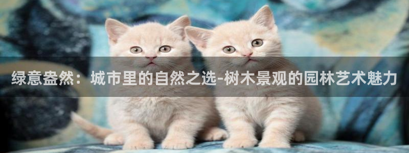 卧龙娱乐左7O667