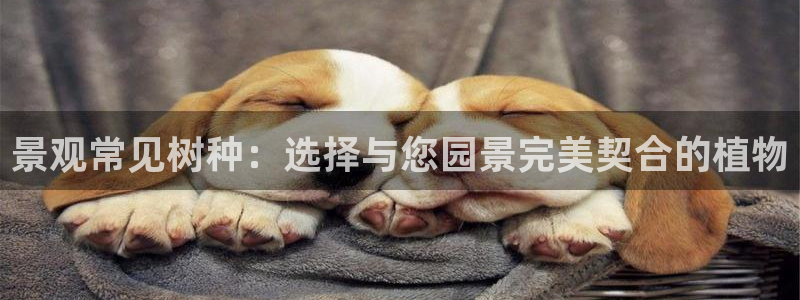 卧龙休闲娱乐人气推荐