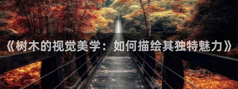 fans娱乐卧龙凤雏