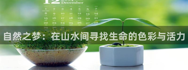 卧龙娱乐老板