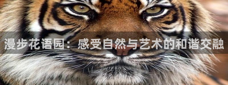 卧龙区娱乐设备：漫步花语园：感受自然与艺术的和谐交融