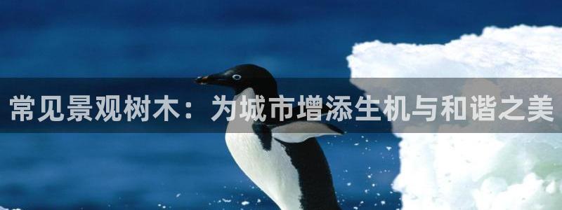 卧龙2神机娱乐攻略