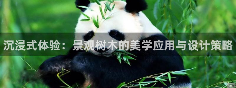 卧龙大型娱乐