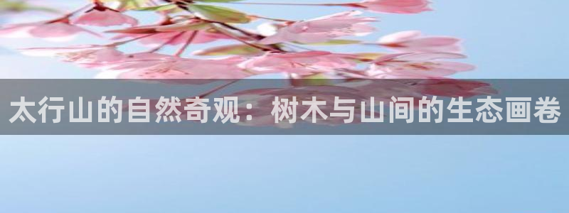 卧龙2神机娱乐代理