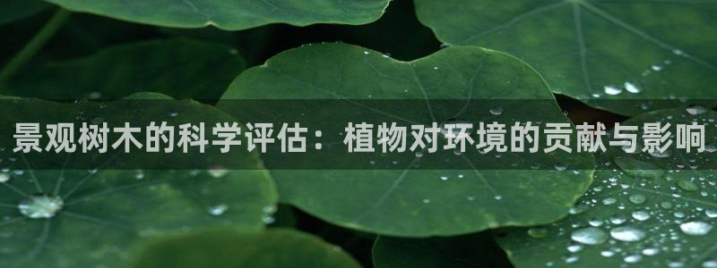 卧龙凤雏娱乐解说