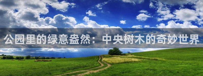 卧龙凤雏娱乐湘西：公园里的绿意盎然：中央树木的奇妙世界