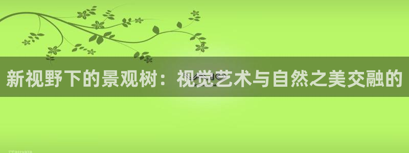 卧龙娱乐在线直播观看