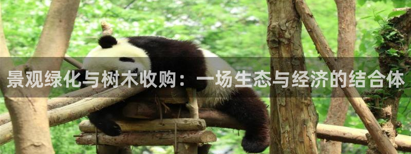 卧龙区娱乐设备