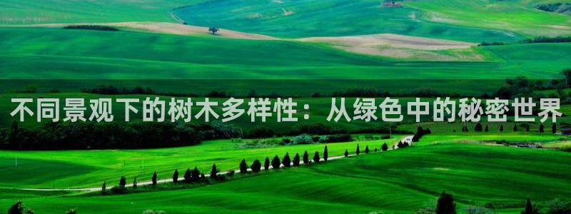 卧龙娱乐老板是谁啊