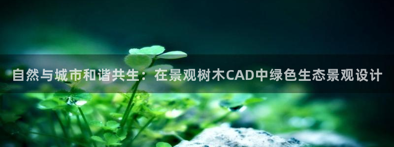 卧龙娱乐彩票官网直播