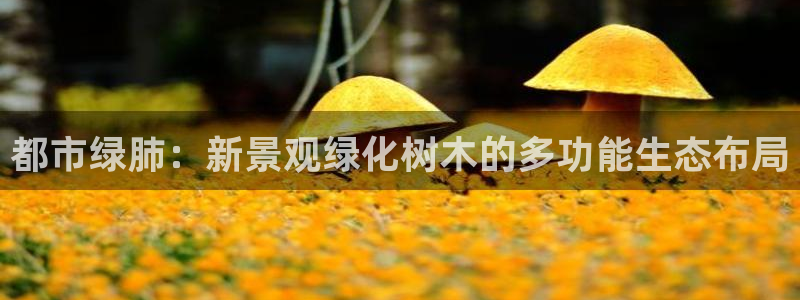 卧龙吟娱乐玩法