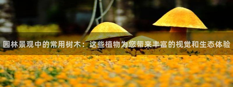 卧龙娱乐属于哪个集团