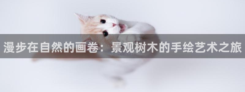 卧龙凤雏娱乐抖音