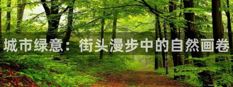 卧龙娱乐总代理是谁呀