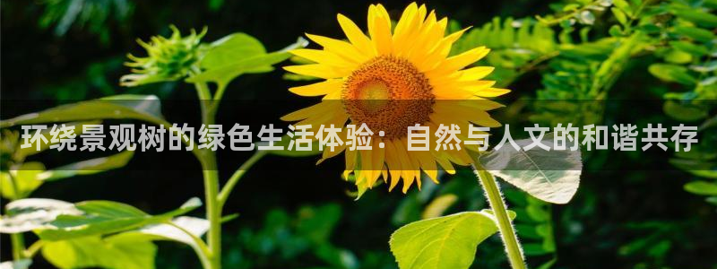 绥阳卧龙湖娱乐场地