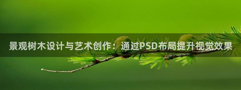 郑州卧龙娱乐王凯旋简历