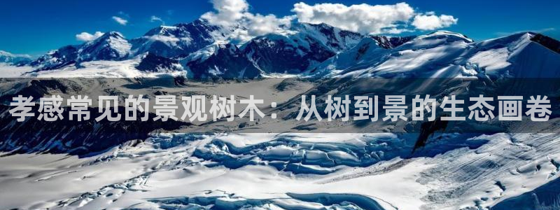 卧龙娱乐在线直播网址