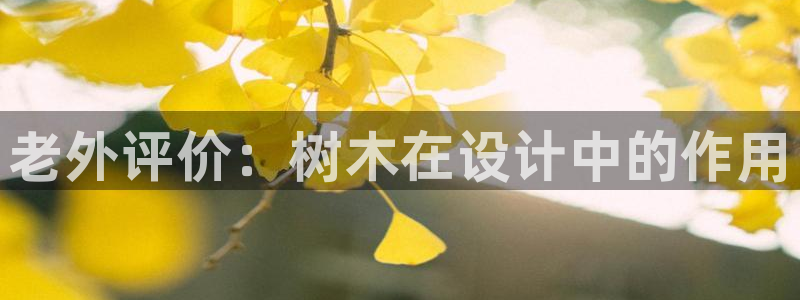 卧龙娱乐招商代理怎么样