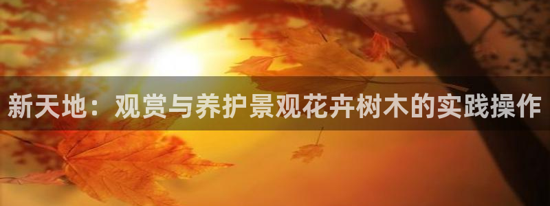 wow卧龙娱乐集团