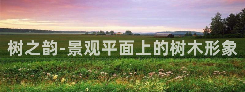 绥阳卧龙湖娱乐场所