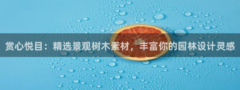 杏耀娱乐卧龙60447