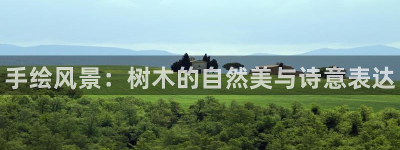 大娱乐家卧龙先生