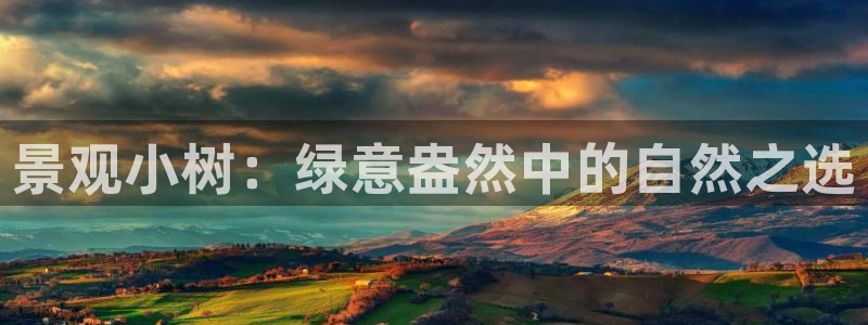 创亿娱乐d卧龙313322