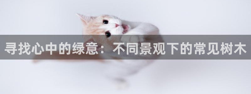 hr娱乐 卧龙招商60447