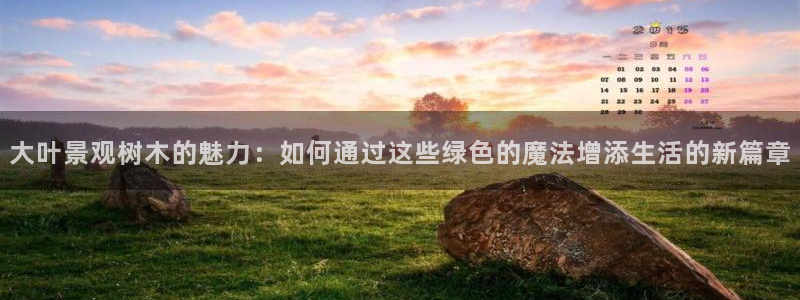 南阳卧龙区娱乐