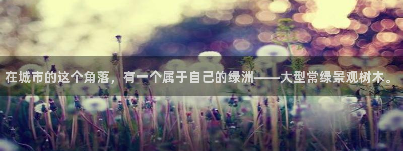 卧龙娱乐老板是谁呀视频