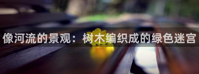 卧龙娱乐招商代理是谁