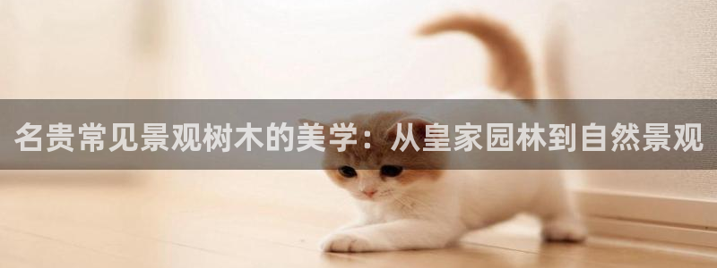 卧龙2娱乐雀711112