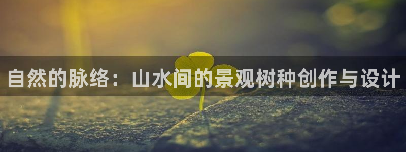 卧龙凤雏直播娱乐