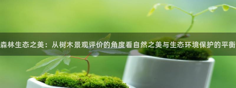 卧龙娱乐老板是谁呀图片