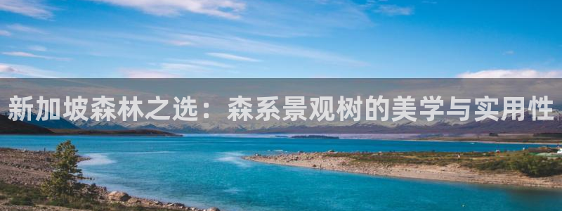 广丰卧龙城娱乐