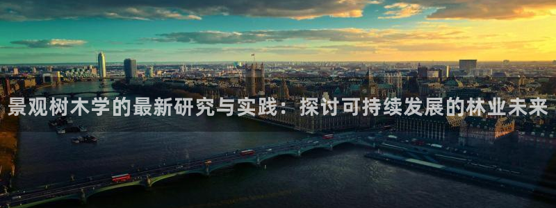 卧龙娱乐挂机平台官网