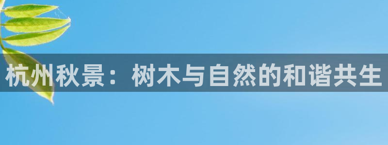 卧龙娱乐下载安装