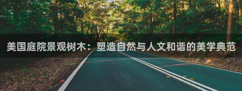 卧龙娱乐滴qv382223