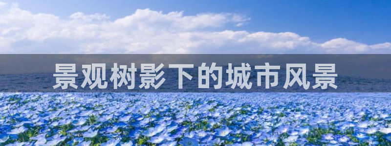 卧龙娱乐直播间