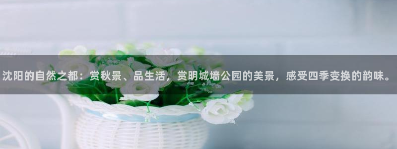 南阳卧龙娱乐城