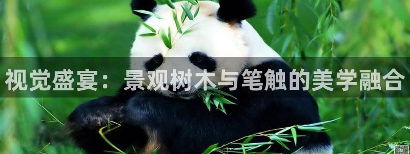 卧龙环岛儿童娱乐