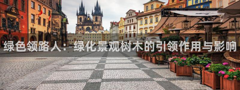 卧龙ktv娱乐会所电话