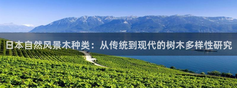 卧龙娱乐怎么样