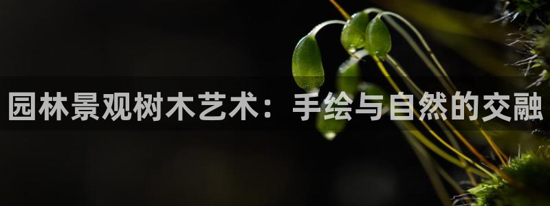 卧龙湾娱乐休闲会所电话