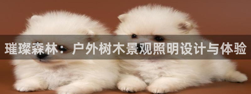 卧龙娱乐招商代理电话