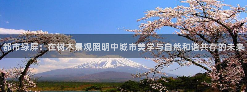 卧龙娱乐在线直播网站